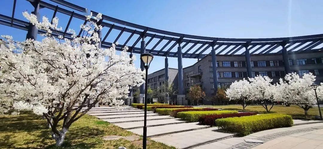 Тяньцзиньский педагогический университет